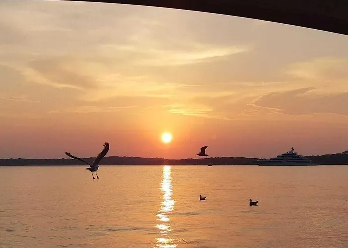 In With Swimming Pool Villa