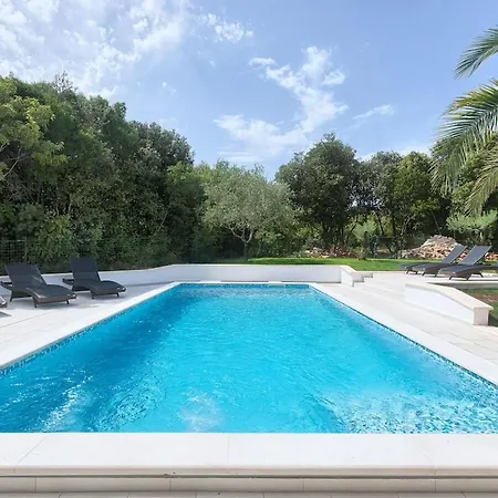 In With Swimming Pool Villa